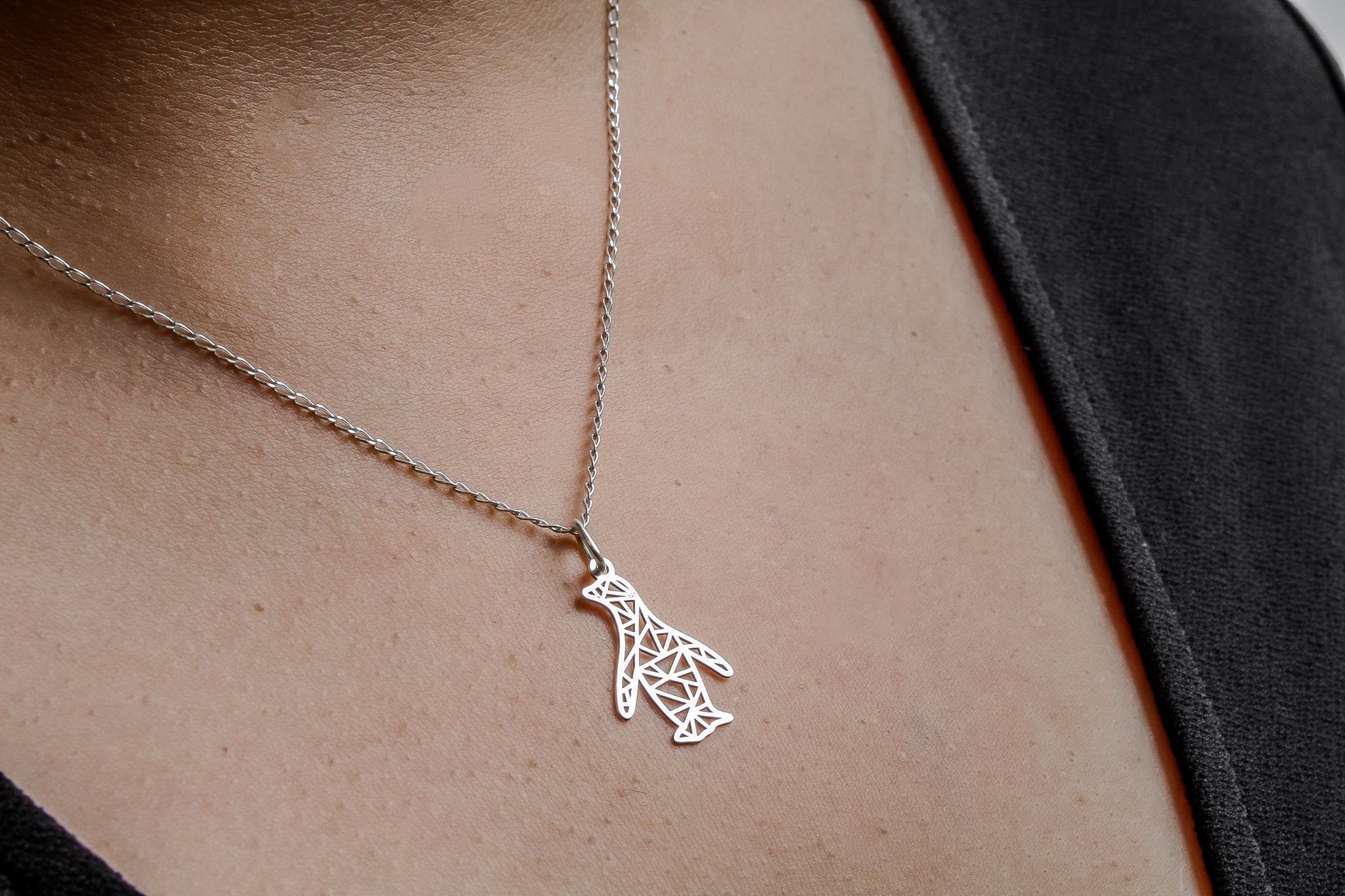 DIJE PINGÜINO LASER