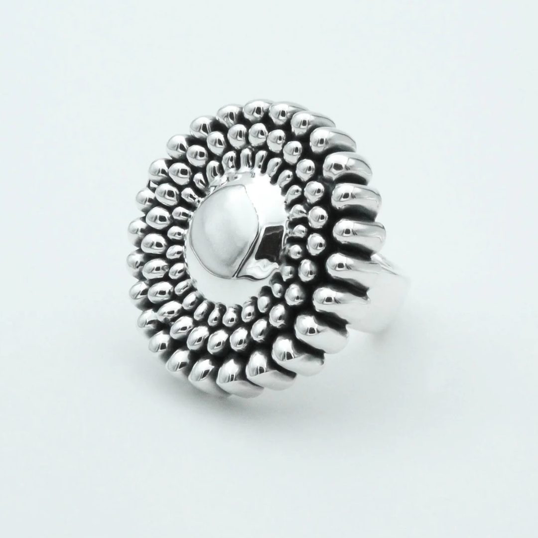 Kit Brillo Clásico — Set Premium en Plata Fina Ley .925