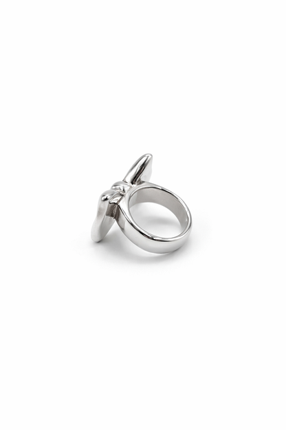 ANILLO MOÑO