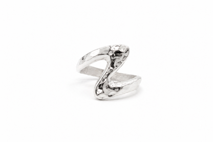 ANILLO GINGIN