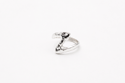 ANILLO GINGIN