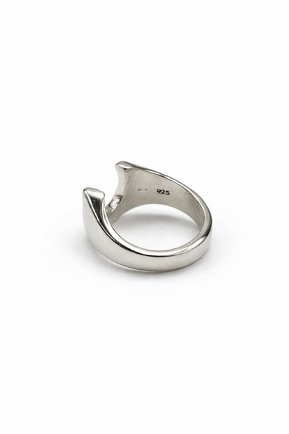 ANILLO HERRADURA